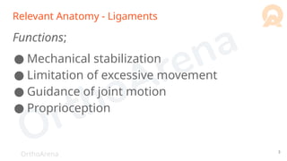 OrthoArena
Relevant Anatomy - Ligaments
Functions;
● Mechanical stabilization
● Limitation of excessive movement
● Guidance of joint motion
● Proprioception
3
 