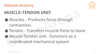 OrthoArena
Relevant Anatomy
MUSCLE–TENDON UNIT
● Muscles - Produces force through
contraction.
● Tendon - Transfers muscle force to bone
● Muscle-Tendon unit - functions as a
coordinated mechanical system
5
 