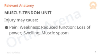 OrthoArena
Relevant Anatomy
MUSCLE–TENDON UNIT
Injury may cause:
● Pain; Weakness; Reduced function; Loss of
power; Swelling; Muscle spasm
7
 