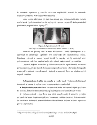 43/100
la membrele superioare şi carotide, reducerea amplitudinii pulsului la membrele
inferioare (sindromul de falsă coarctaţie de aortă).
Unele semne radiologice pot trezi suspiciunea unui hemomediastin prin ruptura
arcului aortic ( politraumatismele), dar angiografia este cea care certifică diagnosticul şi
pune indicaţia operatorie de urgenţă. [45]
Figura 32 Ruptură traumatică de aortă
Sursa:http://es.slideshare.net/AdrianoPires/trauma-toracico-25752805
Jumătate din pacienţi mor la locul accidentului. Dintre supravieţuitori 90%
decedează în următoarele săptămâni prin complicaţii ale traumatismului toracic.
Gravitatea extremă a acestor leziuni rezidă în apariţia lor în contextul unor
politraumatisme cu leziuni asociate la nivelul craniului, abdomenului, extremităţilor.
Leziunile porţiunii ascendente şi crosei aortei sunt de regulă mortale. Leziunile
porţiunii descendente pot duce la formarea unui pseudoanevrism. Intervenţia chirurgicală
se execută în regim de extremă urgenţă - leziunile se suturează direct sau prin interpoziţii
de grefe vasculare.
B. Traumatisme deschise ale cordului şi vaselor mari - Tratamentul chirurgical
de urgenţă se impune în ambele cazuri pentru practicarea cardiorafiei.
a. Plăgile cardio-pericardice sunt cu semnificaţia cea mai dramatică prin gravitatea
lor imediată. În funcţie de mărimea breşei pericardice se descriu următoarele forme:
 cu hemopericard – când breşa este mică, sângele poate fi reţinut în cavitatea
pericardică şi apare simptomatologia unei tamponade cardiace care oferă de foarte multe
ori un interval de timp ce permite instalarea unui tratament eficient, în ciuda aspectului
grav al simptomelor;
45
http://www.esanatos.com/ghid-medical/chirurgie/Semiologia-toracelui-traumatic34424.php
 