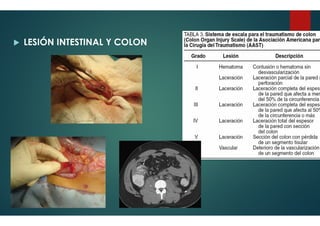 LESIÓN INTESTINAL Y COLON
 