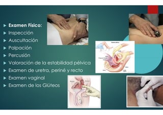 Examen Físico:
Inspección
Auscultación
Palpación
Percusión
Percusión
Valoración de la estabilidad pélvica
Examen de uretra, periné y recto
Examen vaginal
Examen de los Glúteos
Valoración de la estabilidad pélvica
Examen de uretra, periné y recto
 