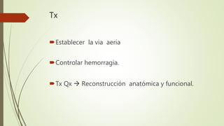 Tx
Establecer la via aeria
Controlar hemorragia.
Tx Qx  Reconstrucción anatómica y funcional.
 