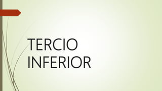 TERCIO
INFERIOR
 