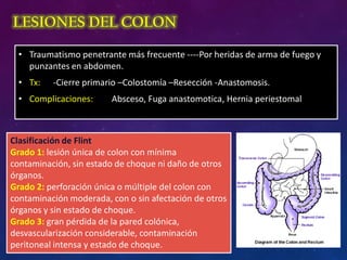 LESIONES DEL COLON
• Traumatismo penetrante más frecuente ----Por heridas de arma de fuego y
punzantes en abdomen.
• Tx: -Cierre primario –Colostomía –Resección -Anastomosis.
• Complicaciones: Absceso, Fuga anastomotica, Hernia periestomal
Clasificación de Flint
Grado 1: lesión única de colon con mínima
contaminación, sin estado de choque ni daño de otros
órganos.
Grado 2: perforación única o múltiple del colon con
contaminación moderada, con o sin afectación de otros
órganos y sin estado de choque.
Grado 3: gran pérdida de la pared colónica,
desvascularización considerable, contaminación
peritoneal intensa y estado de choque.
 