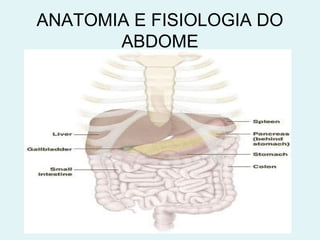 ANATOMIA E FISIOLOGIA DO 
ABDOME 
 