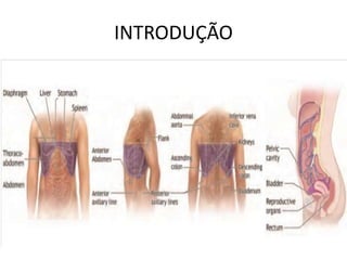 INTRODUÇÃO
 