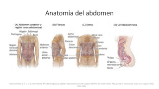 Anatomía del abdomen
Subcommittee, A. T. L. S., & International ATLS Working Group. (2013). Advanced trauma life support (...