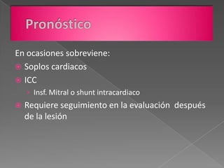 En ocasiones sobreviene:
 Soplos cardiacos
 ICC
    › Insf. Mitral o shunt intracardiaco
   Requiere seguimiento en la evaluación después
    de la lesión
 