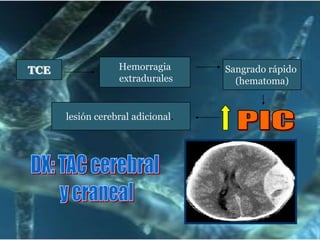 TCE

Hemorragia
extradurales

lesión cerebral adicional.

Sangrado rápido
(hematoma)

 
