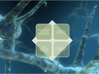 En función de
esta escala
diferenciamos:

- TCE leves :
GCS 15-14

- TCE
moderados :
GCS 13-9

- TCE graves :
GCS < 9

 