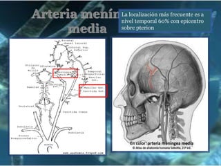 Parapesia/ParaplejiaTIPOS DE LESIONES