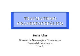 TRAUMATISMO
CRANEOENCEFÁLICO

           Sònia Añor
Servicio de Neurología y Neurocirugía
        Facultad de Veterinaria
                U.A.B.
 