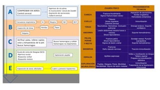 Traumatismo Craneoencefálico segun ATLS | PDF