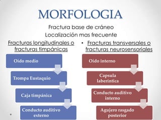 MORFOLOGIA
Fractura base de cráneo
Localización mas frecuente
Fracturas longitudinales o
fracturas timpánicas
• Fracturas transversales o
fracturas neurosensoriales
Oído medio
Trompa Eustaquio
Caja timpánica
Conducto auditivo
externo
Oído interno
Capsula
laberíntica
Conducto auditivo
interno
Agujero rasgado
posterior
 