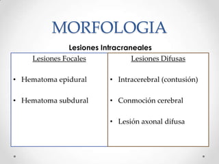 MORFOLOGIA
Lesiones Intracraneales
Lesiones Focales
• Hematoma epidural
• Hematoma subdural
Lesiones Difusas
• Intracerebral (contusión)
• Conmoción cerebral
• Lesión axonal difusa
 