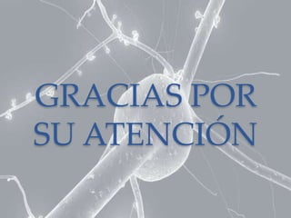 GRACIAS POR
SU ATENCIÓN
 