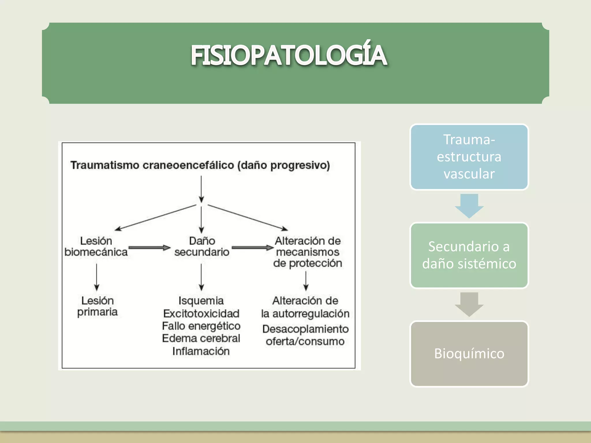 Traumatismo craneoencefálico | PPTX