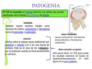 PATOGENIA
El TCE es causado por fuerzas externas a la cabeza que pueden
clasificarse como fuerzas de contacto y de inercia


                     contacto
    suelen causar lesiones focales como
  fracturas de cráneo, contusiones y hematomas
  como el epidurales o subdurales
                                                           moví. traslación
                                                    causar contusiones, hematomas
                      inercia                       intracerebrales y hematomas
    Actúa sobre la cabeza causa aceleración por     subdurales
  traslación o rotación con o sin una fuerza de
  contacto. Este es el caso de los «latigazos»
                                                        Movi.rotación o angular
  que se producen cuando se frena bruscamente
  un vehículo.                                    daño axonal difuso. Un TCE grave puede
                                                  ser resultado solamente de fuerzas de
                                                  aceleración/desaceleración sin daño
                                                  alguno en el cuero cabelludo
 