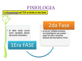 FISIOLOGIA
La fisiopatología del TCE se divide en dos fases




                                                   2da Fase
   • el daño inicial ocurre               • se da por múltiples procesos
     como resultado directo                 neuropatológicos que pueden
     del evento traumático.                 seguir de días a semanas
                                            después del traumatismo inicial.


       1Era FASE
 
