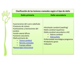 Clasificación de las lesiones craneales según el tipo de daño
         Daño primario                      Daño secundario


•Laceraciones del cuero cabelludo
•Fracturas de cráneo
                                    •Hinchazón cerebral (swelling)
•Contusiones y laceraciones del
                                    •Daño cerebral isquémico
cerebro
                                    •Daño cerebral secundario a HIC
•Lesión axonal difusa
                                         • Edema cerebral
•Lesiones vasculares
                                         • Hidrocefalia
•Daño primario de:
                                    •Enfermedad neurológica progresiva
     • Tronco cerebral
                                    •Embolismo graso
     • Nervios craneales
                                    •Infección
     • Cuerpo calloso
•Hemorragia intracraneal
 
