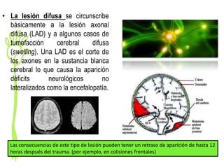 • La lesión difusa se circunscribe
  básicamente a la lesión axonal
  difusa (LAD) y a algunos casos de
  tumefacción      cerebral     difusa
  (swelling). Una LAD es el corte de
  los axones en la sustancia blanca
  cerebral lo que causa la aparición
  déficits       neurológicos       no
  lateralizados como la encefalopatía.




  Las consecuencias de este tipo de lesión pueden tener un retraso de aparición de hasta 12
  horas después del trauma. (por ejemplo, en colisiones frontales)
 