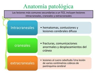 Anatomía patológica
 Las lesiones más comunes secundarias a un TCE, incluyen lesiones
              intracraneales, craneales y extracraneales



Intracraneales           • hematomas, contusiones y
                           lesiones cerebrales difusa


                         • fracturas, comunicaciones
   craneales               anormales y desplazamientos del
                           cráneo

                         • lesiones al cuero cabelludo.[Una lesión
extracraneales             de varios centímetros cúbicos de
                           parénquima cerebral
 