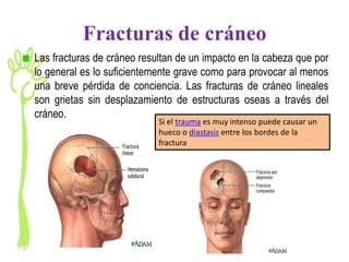 Fracturas de cráneo
Las fracturas de cráneo resultan de un impacto en la cabeza que por
lo general es lo suficientemente grave como para provocar al menos
una breve pérdida de conciencia. Las fracturas de cráneo lineales
son grietas sin desplazamiento de estructuras oseas a través del
cráneo.
                            Si el trauma es muy intenso puede causar un
                            hueco o diastasis entre los bordes de la
                            fractura
 