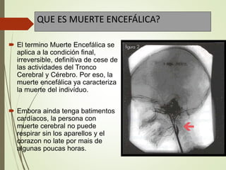 QUE ES MUERTE ENCEFÁLICA?
 El termino Muerte Encefálica se
aplica a la condición final,
irreversible, definitiva de cese de
las actividades del Tronco
Cerebral y Cérebro. Por eso, la
muerte encefálica ya caracteriza
la muerte del indivíduo.
 Embora ainda tenga batimentos
cardíacos, la persona con
muerte cerebral no puede
respirar sin los aparellos y el
corazon no late por mais de
algunas poucas horas.
 