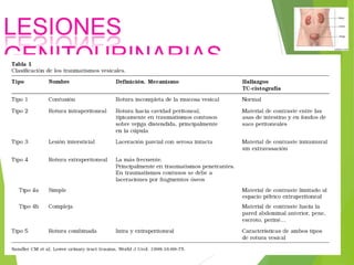 LESIONES
GENITOURINARIAS

 