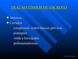 TRAUMATISMOS DE ESCROTO Abiertos Cerrados compresión contra huesos pélvicos puntapiés caída a horcajadas politraumatismos Escroto Agudo