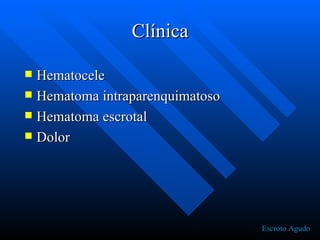 Clínica Hematocele Hematoma intraparenquimatoso Hematoma escrotal Dolor Escroto Agudo