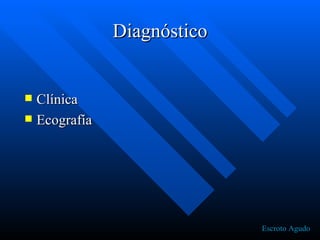 Diagnóstico Clínica Ecografía Escroto Agudo