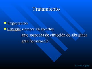 Tratamiento Expectación Cirugía: siempre en abiertos ante sospecha de efracción de albugínea gran hematocele Escroto Agudo