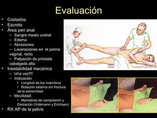 Evaluación
• Costados
• Escroto
• Área peri anal
– Sangre meato uretral
– Edema
– Abrasiones
– Laceraciones en el perine
vaginal, recto
– Palpación de próstata
cabalgada alta
• Inestabilidad mecánica
– Una vez!!!!
– Indicación
• Longitud de los miembros
• Rotación externa sin fractura
de la extremidad
– Movilidad:
• Maniobras de compresión y
Distración (Volkmann y Erichsen)
• RX AP de la pelvis
 