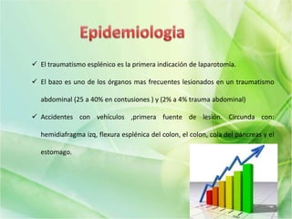  El traumatismo esplénico es la primera indicación de laparotomía.
 El bazo es uno de los órganos mas frecuentes lesionados en un traumatismo
abdominal (25 a 40% en contusiones ) y (2% a 4% trauma abdominal)
 Accidentes con vehículos ,primera fuente de lesión. Circunda con:
hemidiafragma izq, flexura esplénica del colon, el colon, cola del páncreas y el
estomago.
 