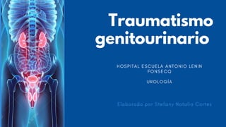 Traumatismo
genitourinario
HOSPITAL ESCUELA ANTONIO LENIN
FONSECQ


UROLOGÍA
Elaborado por Stefany Natalia Cortes
 