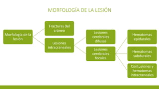 MORFOLOGÍA DE LA LESIÓN
Morfología de la
lesión
Fracturas del
cráneo
Lesiones
intracraneales
Lesiones
cerebrales
difusas
Lesiones
cerebrales
focales
Hematomas
epidurales
Hematomas
subdurales
Contusiones y
hematomas
intracraneales
 