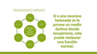 TRATAMIENTO MÉDICO
Prevenir el
daño
cerebral
secundario
Líquidos
intravenosos.
Hiperventilación
transitoria.
Manitol.
Soluciones
hipertónicas.
Barbitúricos
Anticonvulsivantes.
 