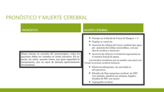 PRONÓSTICO Y MUERTE CEREBRAL
PRONÓSTICO MUERTE CEREBRAL
 