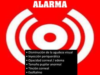 ALARMA• Disminución de la agudeza visual• Inyección periquerática• Opacidad corneal / edema• Tamaño pupilar anormal• Tinción corneal• Exoftalmo