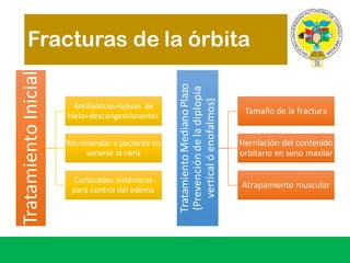 Fracturas de la órbitaTratamiento	Inicial
Antibióticos+bolsas de	
hielo+descongestionantes
Recomendar	a	paciente no	
sonarse	la	nariz
Corticoides	sistémicos
para	control	del	edema	 Tratamiento	MedianoPlazo	
(Prevenciónde	la	diplopia	
vertical	óenofalmos)
Tamaño de	la	fractura
Herniación del	contenido
orbitario en	seno maxilar
Atrapamiento	muscular
 