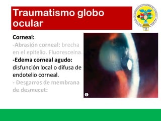 Traumatismo globo
ocular
Corneal:
-Abrasión corneal:	brecha
en	el	epitelio.	Fluoresceína.
-Edema	corneal	agudo:
disfunción local	o	difusa de	
endotelio corneal.	
- Desgarros de	membrana
de	desmecet:	
 