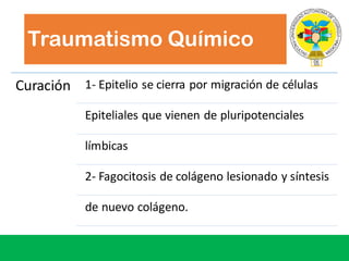 Traumatismo Químico
Curación 1- Epitelio se	cierra por migración de	células
Epiteliales que vienen de	pluripotenciales
límbicas
2- Fagocitosis de	colágeno lesionado y	síntesis
de	nuevo	colágeno.
 