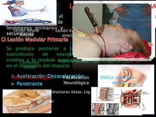 FISIOPATOLOGIA
Involucra el
establecimiento de
fenómenos primarios y
secundarios
Se produce posterior a la
transmisión de energía
cinética a la medula espinal
en el momento del impacto
 Afectación directa estructuras óseas, Lig.
 Deformidad ósea
 Compresión radicular
 Sección Medular
 Lesión vascular
Lesión Neural
Directa
Deformidad Ósea
Lesión Vascular
asociada
Hematoma
Déficit Neurológico
Compresión RadicularContusión
neural
Hipoxia Medular
Focalización
Neurológica
Déficit sensitivo-
motor
 