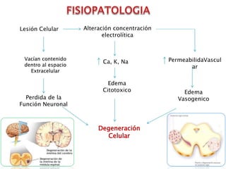 Lesión Celular Alteración concentración
electrolítica
Vacían contenido
dentro al espacio
Extracelular
Perdida de la
Función Neuronal
Ca, K, Na
Edema
Citotoxico
PermeabilidaVascul
ar
Edema
Vasogenico
Degeneración
Celular
 