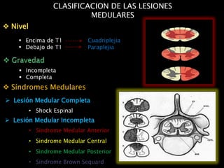 CLASIFICACION DE LAS LESIONES
MEDULARES
 Lesión Medular Completa
 Lesión Medular Incompleta
• Shock Espinal
• Sindrome Medular Anterior
• Sindrome Medular Central
• Sindrome Medular Posterior
• Sindrome Brown Sequard
 Encima de T1
 Debajo de T1
Cuadriplejia
Paraplejia
 Incompleta
 Completa
 Síndromes Medulares
 