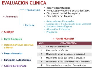 Traumatismo
Paciente
 Tipo y circunstancias
 Hora, Lugar y numero de accidentados
 Circunstancias del Transporte
 Cinemática del Trauma
 Antecedentes Personales
 Localización e Irradiación del dolor vertebral
 Sintomas Neurológicos
 Alteración Esfínteres
 Priapismo Glasgow
 Pares Craneales
 Determinar Nivel sensitivo
y Motor
 Fuerza Muscular
 Funciones Autonómicas
 Control Esfinteriano
NIVEL CARACTERISTICA
O Ausencia de contracción
1 Contracción no efectiva
2 Movimiento activo sin vencer la gravedad
3 Movimiento activo que vence la gravedad
4 Movimiento activo contra resistencia moderada
5 Vence resistencia completa, Fuerza Normal
 Fuerza Muscular
 