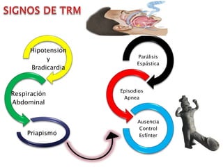 Hipotensión
y
Bradicardia
Respiración
Abdominal
Priapismo
Parálisis
Espástica
Episodios
Apnea
Ausencia
Control
Esfínter
 