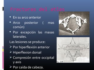 Fracturas del atlas
 En su arco anterior
 Arco posterior ( mas
común)
 Por excepción las masas
laterales.
Las lesiones se produce:
 Por hiperflexión anterior
 Hiperflexion dorsal
 Compresión entre occipital
y axis
 Por caída de cabeza.
 